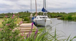 Dog Friendly Chalet With Outdoor Seating At Broadland Park And Marina Ref 12050B - Image 5