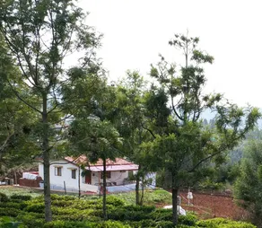 Joni farm house in Ooty - Image 3