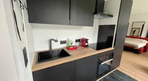 Flat vane & Soun - Image 4