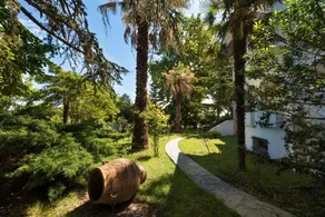 Exotic Palm Villa - Image 3
