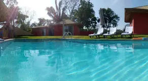 El nido rojo - Image 2