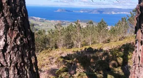 Acouga - Image 3