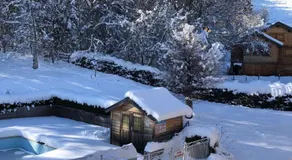 L’ourson - Image 4