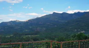 Paalm view premium resort - Image 5