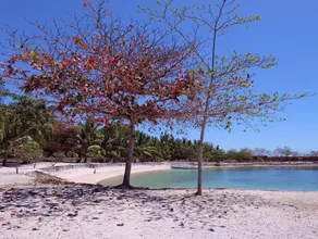 Cordova Reef Village Resort - Image 4