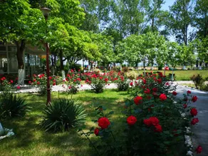 Complex Mediteranean Mamaia - Image 4