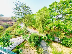 Nature Resort - Image 2