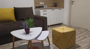 Vikendica apartments Dunav MS - Image 2
