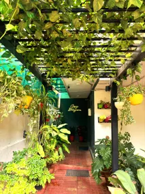Cosy Banjara Guest House - Image 5