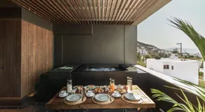 TinosVillages - Image 4