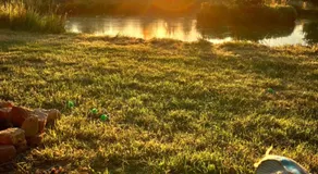Charmant POD en bois près d'un plan d'eau - Image 5
