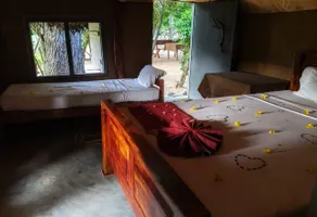 Yala Jungle Haven - Image 2