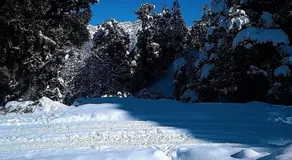 Lord Shiva Camps - Image 5