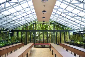 Sarga Earthing Resort - Image 4