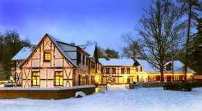 Sternhaus-Harz - Image 2