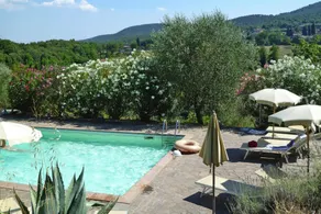Charming Villa in Tuscany with Pool  Views - Image 1