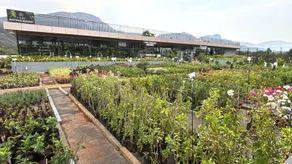 7 Tree Resort & Restaurant - Image 2
