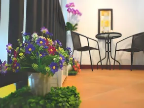 Seedling House - Image 4