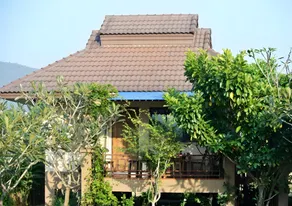 Jamjuree - Image 3