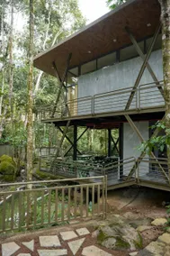 ROCK'S VILLA - Image 4