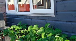 Cozy Bandon Nest - Image 4