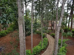 The Cabin in the Woods - Image 4