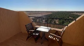 Palms Garden - Image 3