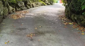 Rock garden - Image 4
