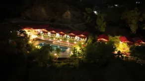 The Jungle Pool - Image 3