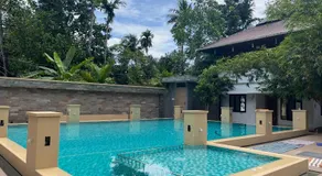 Coconut Garden - Image 2
