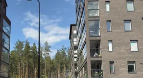 Brand New Studio surrounded by forest - Image 3