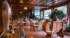 Hotel in restavracija Pod Roglo - Image 4