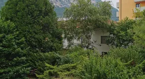 Girasole Trento - Image 3