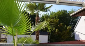 PalmGarden - Image 5