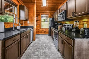 Extravagant View Cabin - Image 5