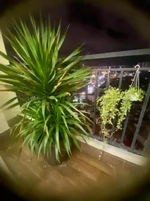 Large 3 Bedroom Apartment SHP Plaza Building - Image 5