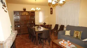 VUT Flor de Romero - Image 4