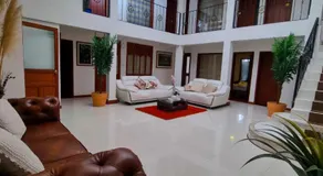 Florentina - Image 3