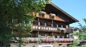 Pension Steinerhof - Image 4
