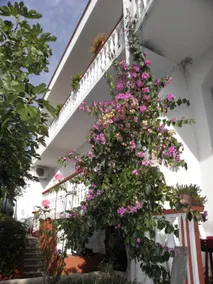 Apartment Pere A1 Povljana, Island Pag - Image 2