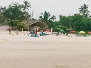 Paradise comfort - Image 4