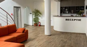 Nueva Park - Image 4