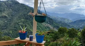 La TOLVA Café & experiencia - Image 4
