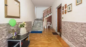 Il cipresso - Image 3