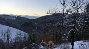 Le Coteau d'Olliergues - Image 5