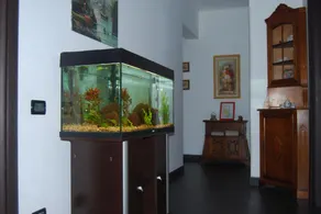 Casa MaMa Guesthouse - Image 4
