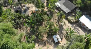 Tereng Wilis Jungle Inn - Image 3