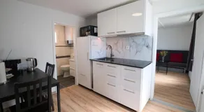 Lake Getaway Apartment with Private entrance, right on the Lake Constance cycle path, barbecue area, free wifi, Netflix and free bikes - Image 3