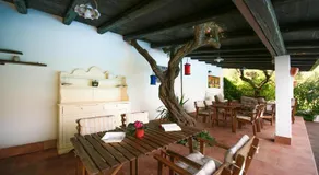 B&B Arli - Image 4