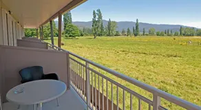 Mohua Motels - Image 5